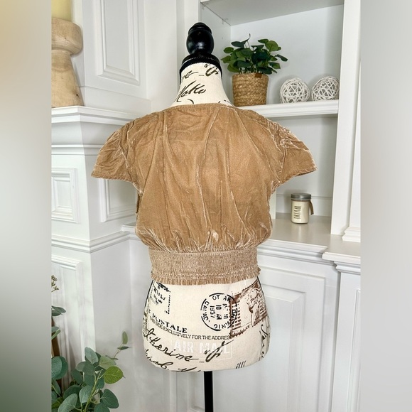 Aerie Women’s Velvet V-Neck Smocked Crop Top in Beige Size Medium - Picture 3 of 10